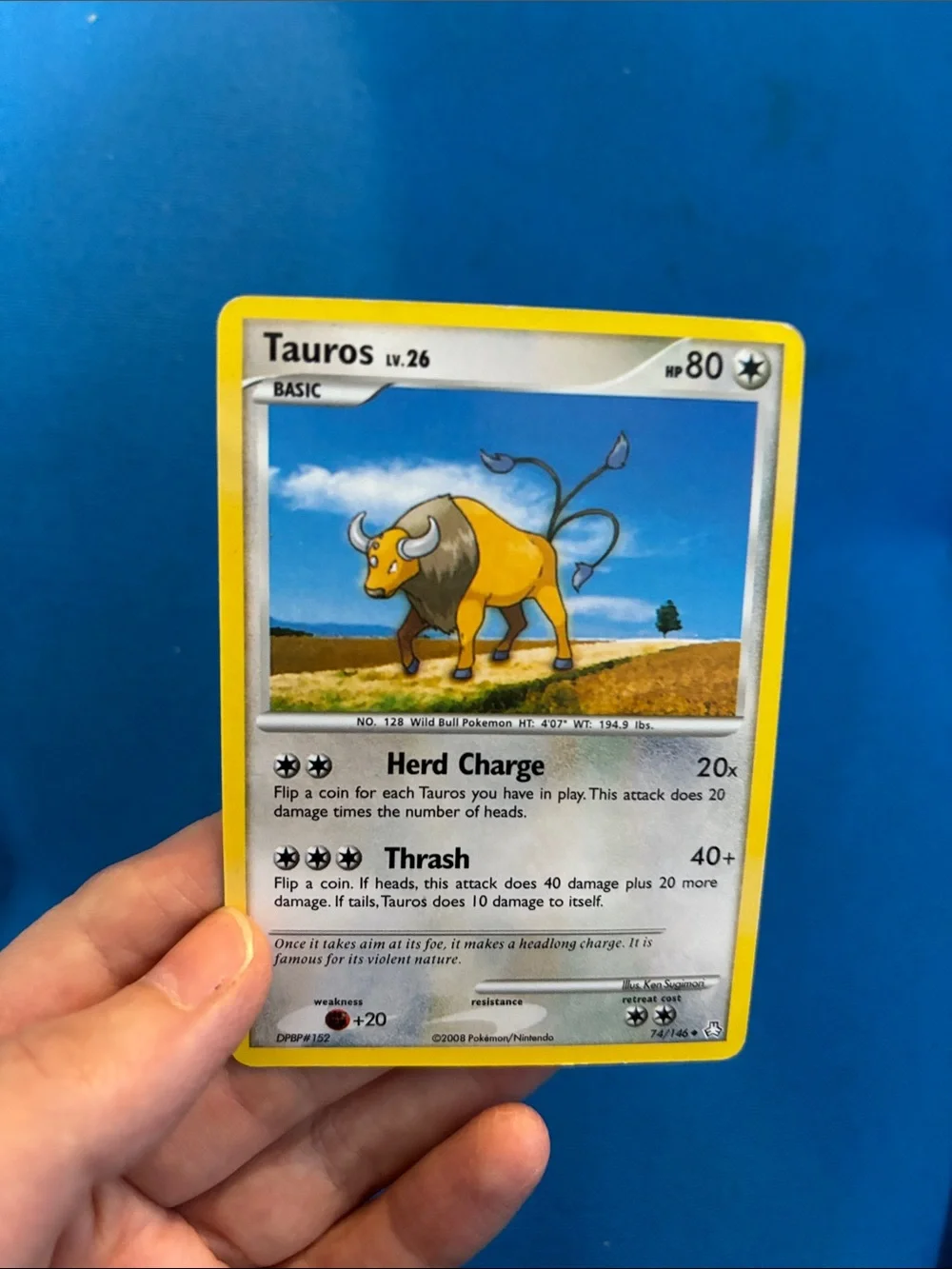 Pokémon Cards Tauros HP 80 60 2008 1995,1996,1998 Common Pokemon NWOTS